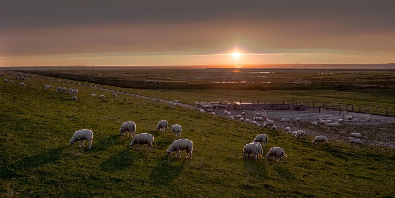 Ferienhaus Nordseemupfel Ostfriesland Bildergalerie
